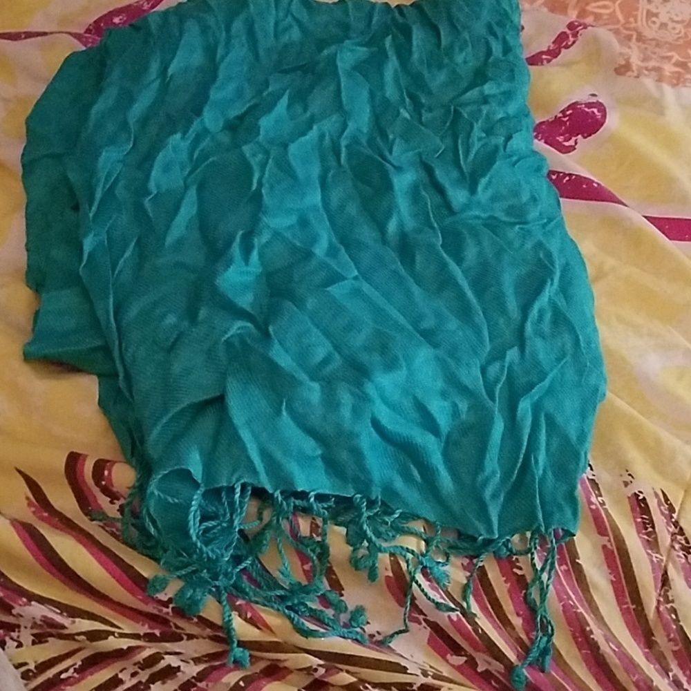 Pale Green Pashmina Scarf Wrap Shawl Long Soft Lightweight Elegant